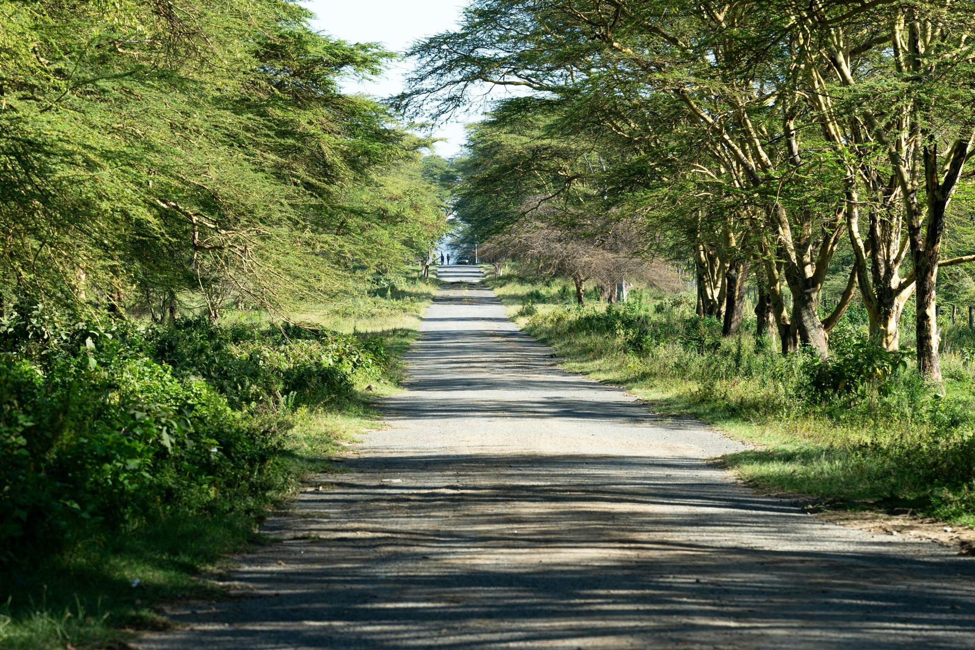African landscape — Kenyan terrain representing Mawadco Africa's operating ground